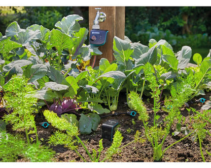 Bewässerungscomputer GARDENA smart WaterControl - Kompatibel mit SMART HOME by hornbach